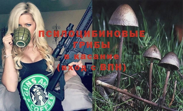 бошки Аркадак