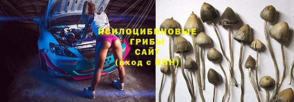 бошки Аркадак