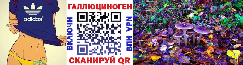 Галлюциногенные грибы Psilocybine cubensis  kraken ONION  Спас-Деменск  как найти наркотики 